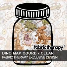 Load image into Gallery viewer, R17 Clear Vinyl Collection - RETAIL