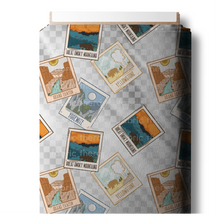 Load image into Gallery viewer, R17 Clear Vinyl Collection - RETAIL