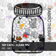 Load image into Gallery viewer, Tay Concert Collection  -  Clear Vinyl  - Retail