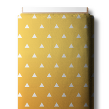 Load image into Gallery viewer, Anime Collection - Waterproof Canvas - RETAIL